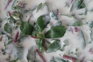 SEMİZOTU SALATASI (YOĞURTLU)
